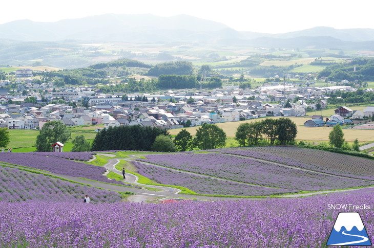 カメラを片手に夏の中富良野～上富良野・ラベンダー花畑巡り☆